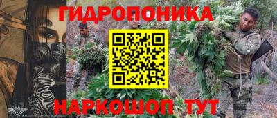 прущие грибы Когалым