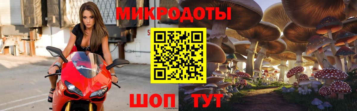 купить наркотик  Вход с VPN  Великие Луки  Галлюциногенные грибы Psilocybe 
